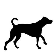 Vector silhouette of dog on white background.
