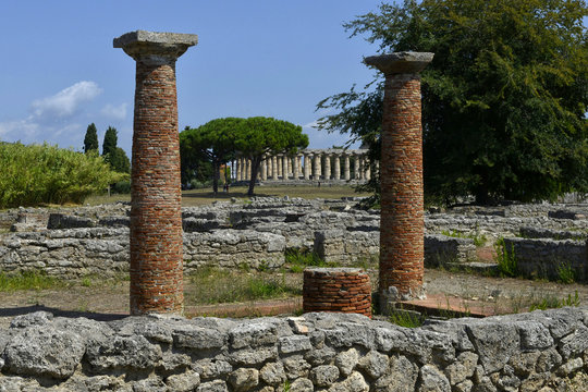 Italy, .Paestum; archeological site.