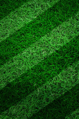 Green grass soccer field background © Huurah