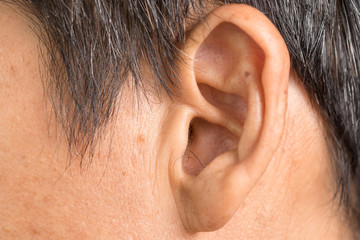 Ear hair of asia man, anatomy concept.Ear hair protruding from the external auditory meatus in a...