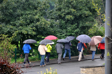 Eine Guppe Menschen mit Regenschirmen machen einen Spaziergang im Regen