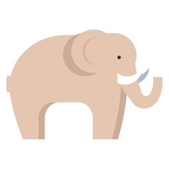 Elephant in Beige Color Isolated on White