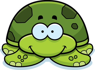 Smiling Little Sea Turtle
