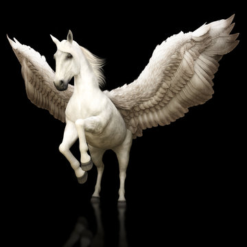 Pegasus majestic mythical Greek winged horse on a black background. 3d rendering