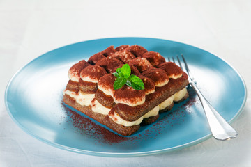 Tiramisu, traditional Italian dessert on a plate