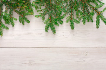 Christmas tree branches background