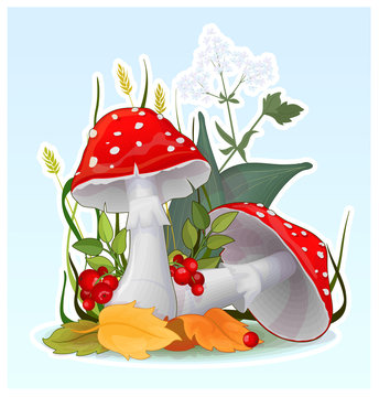 Cartoon fly-agaric muchroom, vector illustration