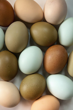 Egg food background