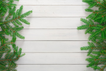 Christmas tree branches background