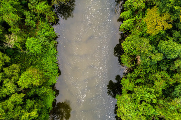 Pollution Water in Amazon River, Brazil