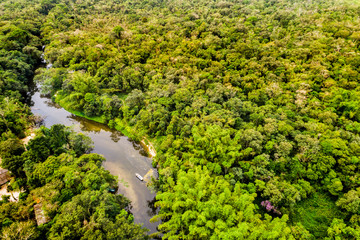 Aerial View of Amazon Rainforest, South America