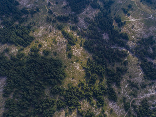 forest and hills aerial 