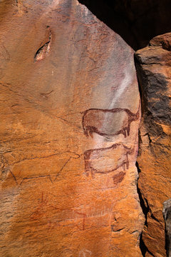 Rock Art - Tsodilo Hills - Botswana