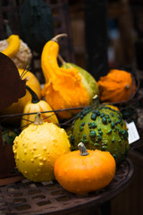 colorful ornamental pumpkins, gourds and squashes in the market