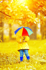 Little boy on background of autumn. park with rainbow umbrella in hands. Child with a maple leaf. Fall scene.