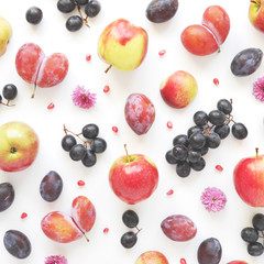 Vertical  composition of fruits on a white background. Pattern made from fresh fruits. Top view, flat design. Collage of plum, grapes, flowers.	