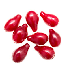 red dogberry