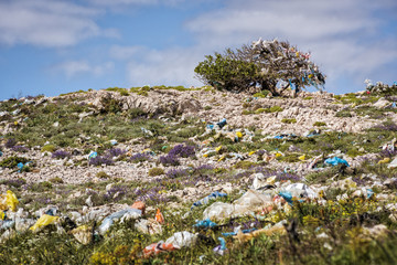 Hill with tree full of rubbish and plastic bags