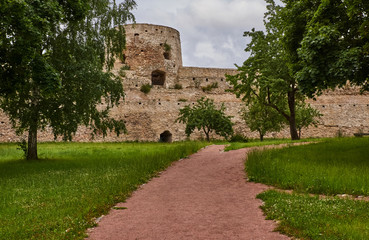 A deciduous tree on the background of the towers and the walls of a fortress/An ancient fortress wall with watchtowers. Before the wall grows a deciduous tree with a round crown. Russia, Pskov region