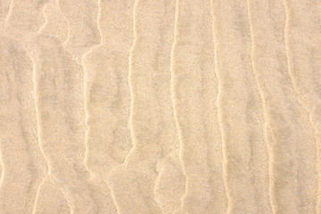Fototapeta na wymiar beach sand background. Sand Pattern
