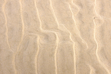 Fototapeta na wymiar beach sand background. Sand Pattern