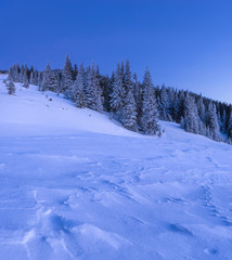 Winter landscape of a mountain hill with snow at the foreground and snowy forest at the background