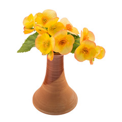 Yellow flowers in vase isolated over white
