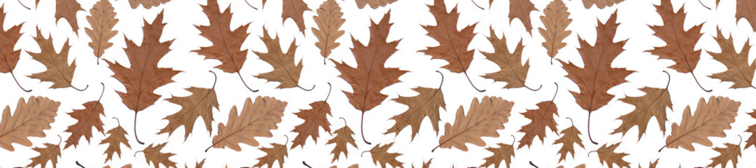  header panorama background autumn pattern