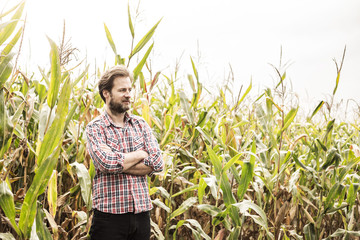 Caucasian farmer in plaid shirt and corn field - agriculture