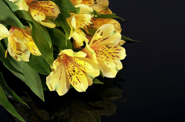 Yellow flower on black screen