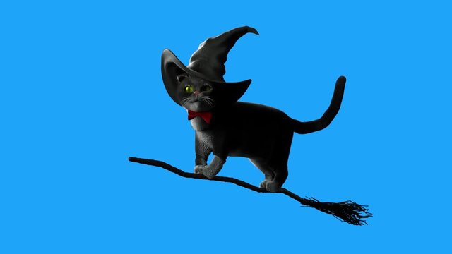 cat wearing a witches hat on Halloween flying on a broom on a blue background  3D