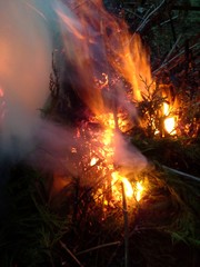 Twin Burst of Flames in a Bonfire