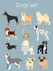 Vector illustration of different type of cartoon dogs. Dogs set in cartoon flat style on light blue background.