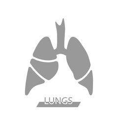 Vector silhouette medical illustration of human body organ - lungs with trachea. Logo template for clinic, hospital. Symbol for asthma, tuberculosis, pneumonia. Health care of respiratory system.