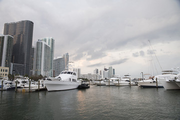 Fototapeta na wymiar Miami Bay