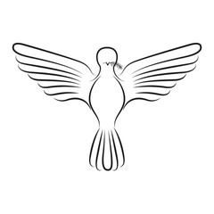 Obraz premium pigeon peace front view on silhouette