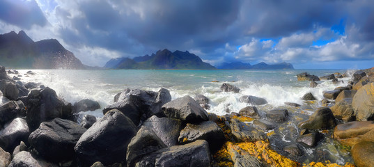 Obraz premium Lofoten northern beach