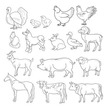 Vector illustration of outline figures of farm animals. Animals in line style on white background.