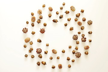 Autumn composition. Frame of acorn, pine cones on white background. Flat lay, top view, copy space