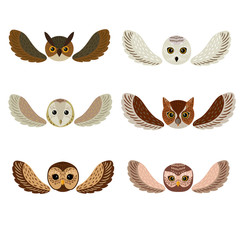 Six owls faces with wings