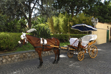 Sorrento, horse-drawn carriage.