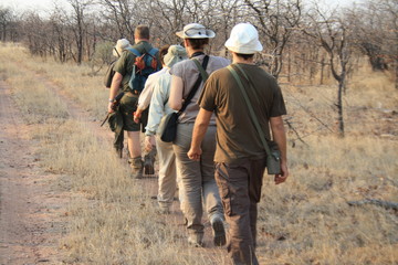 persone cammino parco kruger a piedi bosco
