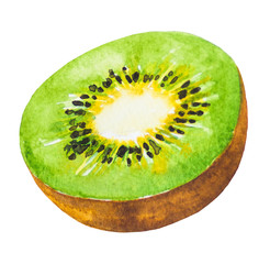 Kiwi fruit painting.Painted with watercolor.