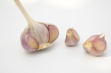 garlic on a white background
