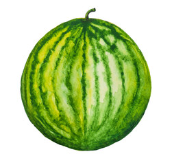 Watermelon fruit painting.Painted with watercolor.