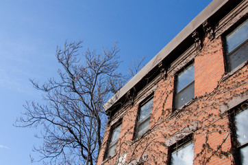 Apartments for rent this season