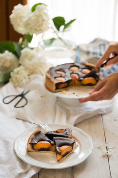 Portions of chocolate and apricot tart  on a white dish