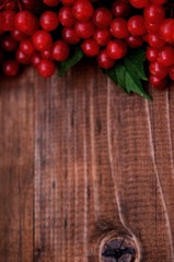 red viburnum on a wooden table