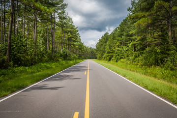 Fototapeta premium Paths