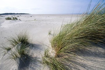 Nordsee, Strand auf Langenoog: Dünen, Meer, Entspannung, Ruhe, Erholung, Ferien, Urlaub, Meditation :)